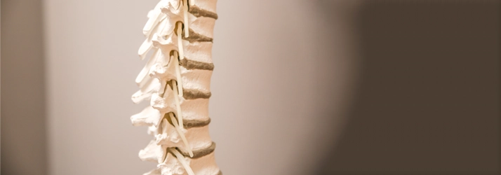 Chiropractic Bluffton SC Spine